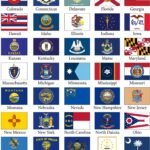 American 50 State Flags Complete Set 5'x8' One of Each USA States